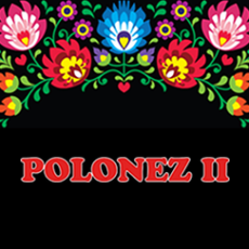 polonez2.png